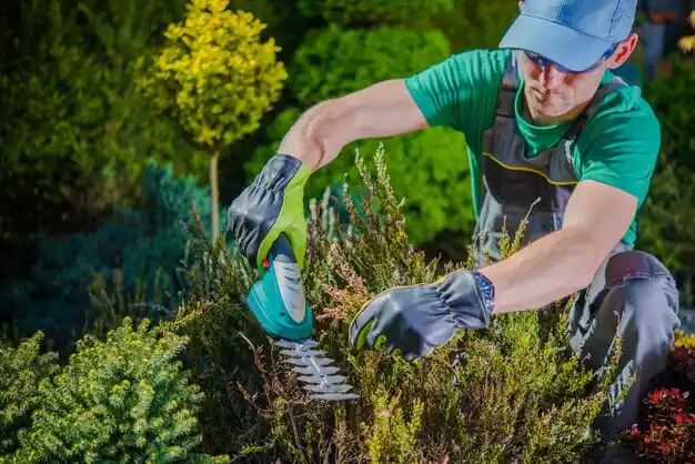 landscaping services Junction City